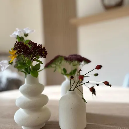 Heidezauber Fuer 2-4 Personen