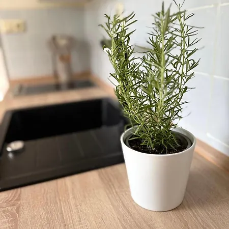 Heidezauber Fuer 2-4 Personen Apartment *